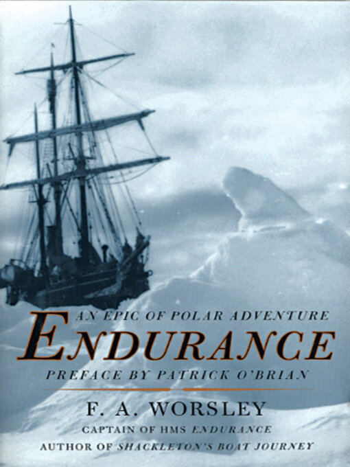 Cover image for Endurance